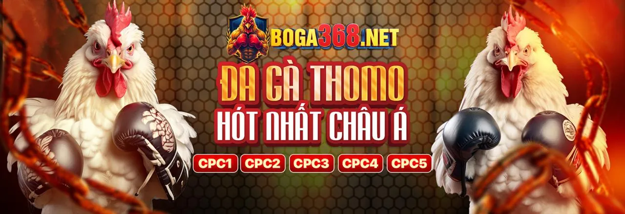 Hệ thống bảo mật New66