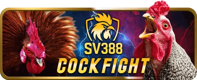 Giao dịch nhanh chóng New66